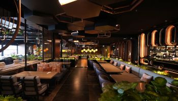 Huqqabaz -Kayaşehir